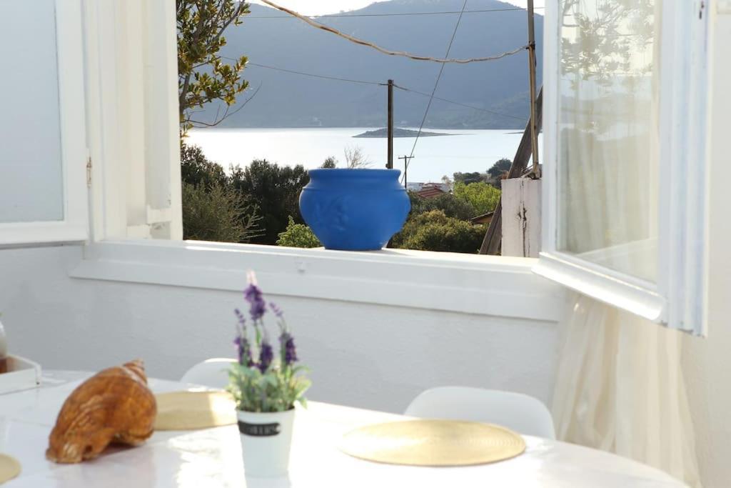 White Villa In Olive Trees And Seaview To Panagia Almiropótamos Esterno foto