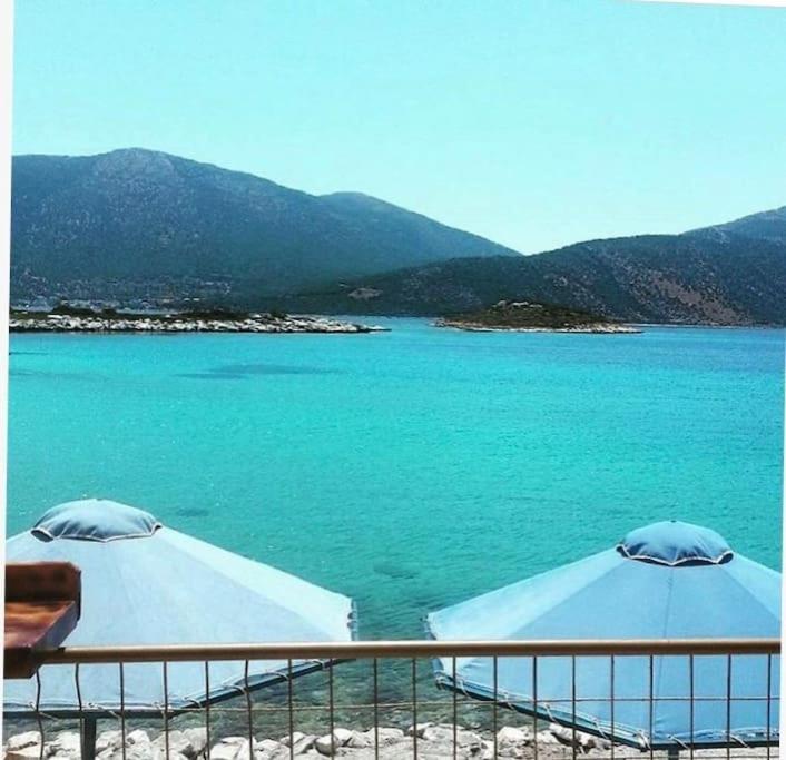 White Villa In Olive Trees And Seaview To Panagia Almiropótamos Esterno foto